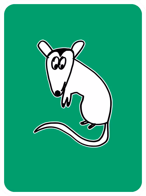 Profound Possum