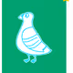 Perspective Pigeon