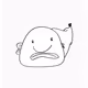 Bashful Blobfish