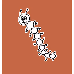 Sensitive Centipede
