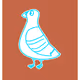 Perspective Pigeon