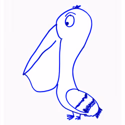 Peaceful Pelican