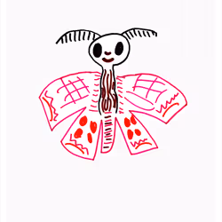 Major Moth