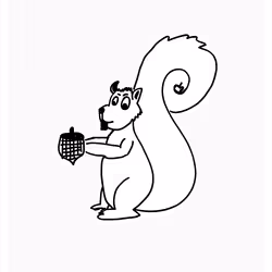 Sharing Squirrel