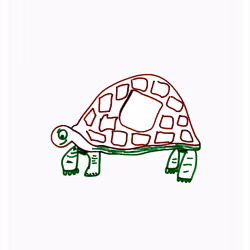 Tolerant Tortoise