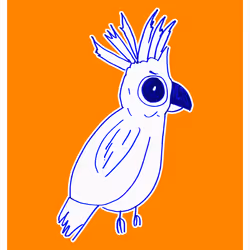 Courageous Cockatoo