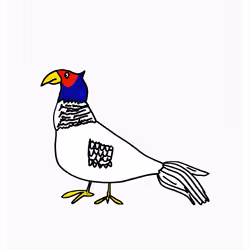 Faithful Pheasant