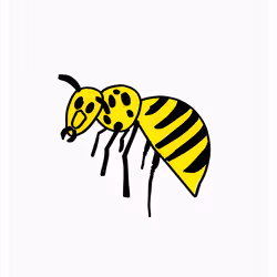 Wise Wasp