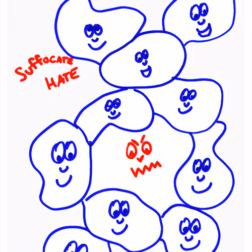 Veefriends