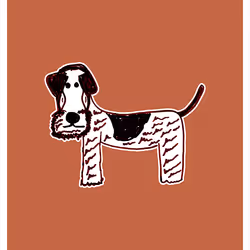 Insightful Irish Terrier