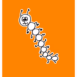 Sensitive Centipede
