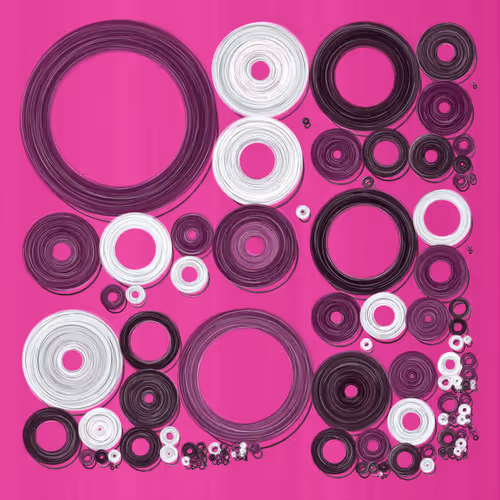 Ordinal Rings