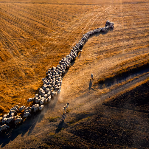 This Is Anatolia V2
