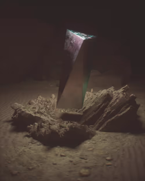 Item #4200010005 Media