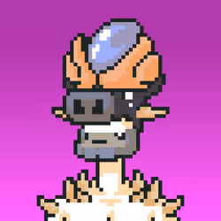 Item Media