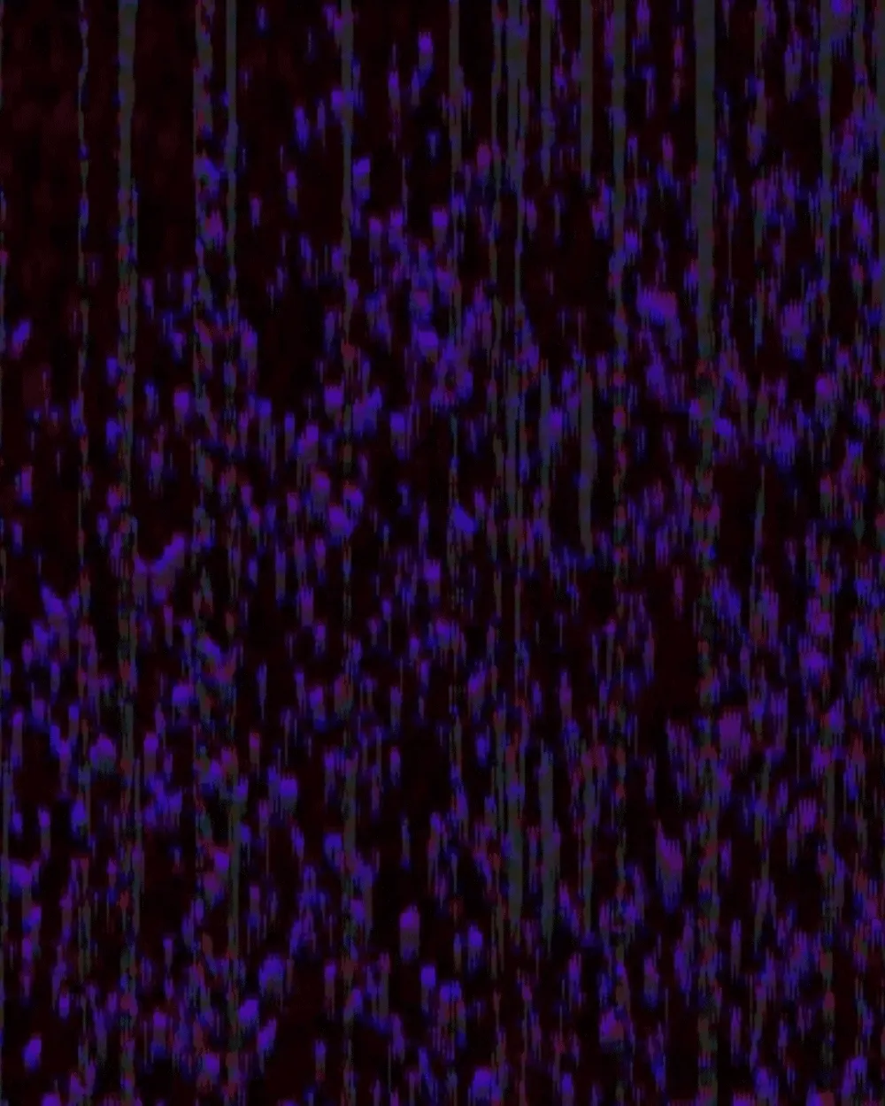 Robot Noise V1