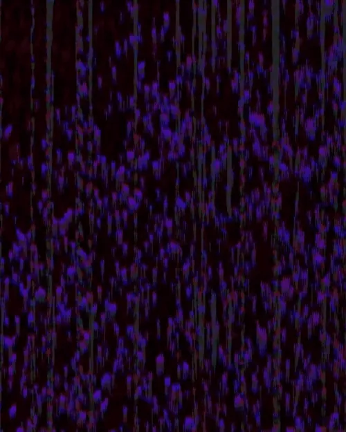 Robot Noise V1