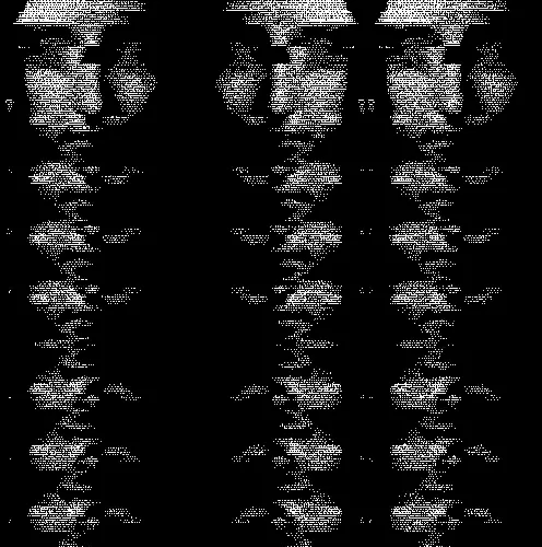 Rjxeditions