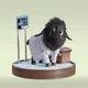 Sheep #3066