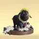 Sheep #1576