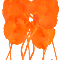 The Colors of Sex #14