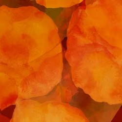 The Colors of Sex #15