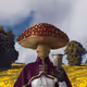 6790