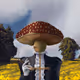 8254