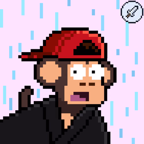 Chimpers #4098