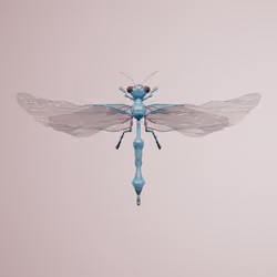 Anisopteraproceritas fragarum