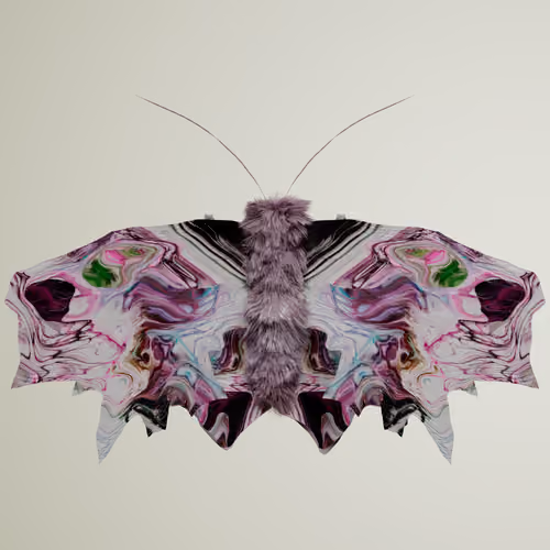 Lepidopteravivida nghetinhizii