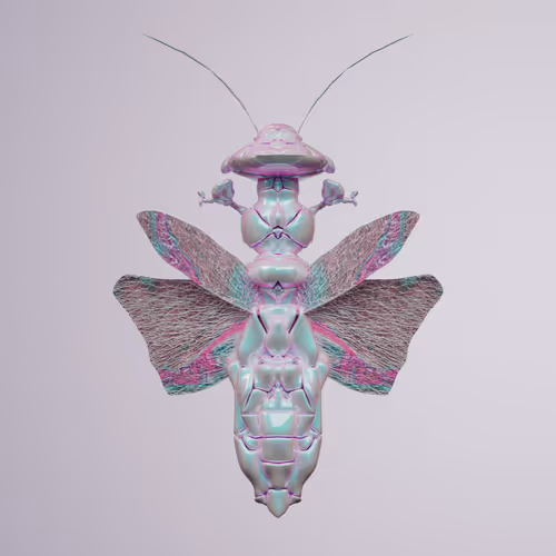 Mantodeavivida picinum