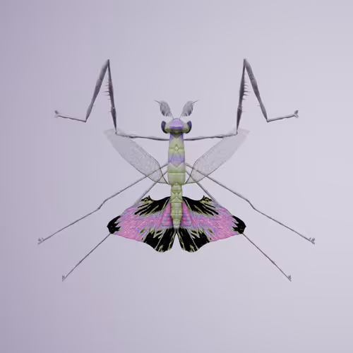 Chrysalism Insect