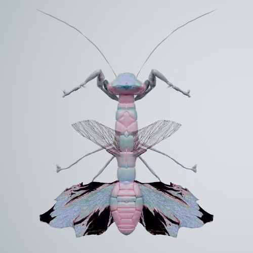 Mantodeaavia quaggon