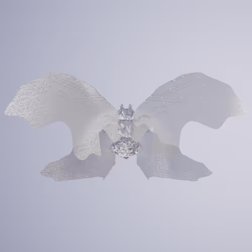 Chrysalism Insect
