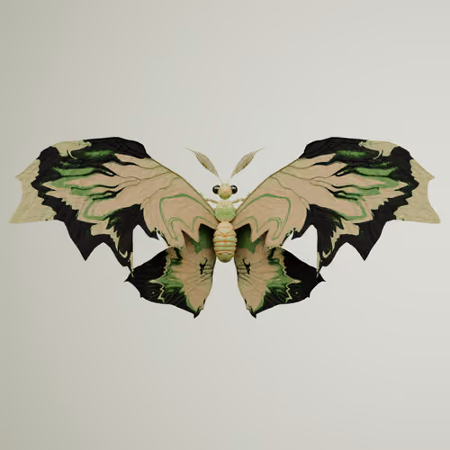 Rhopaloceraithodes imperaris