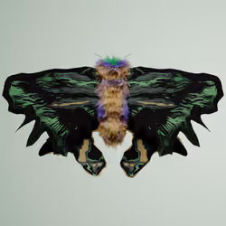 Lepidopteracerritulus bintone
