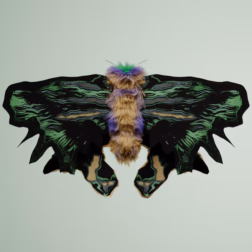 Lepidopteracerritulus bintone
