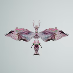 Anisopteravivida crocaeus