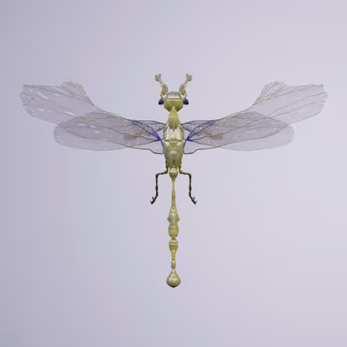 Chrysalism Insect