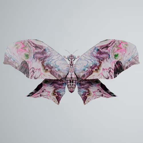 Chrysalism Insect