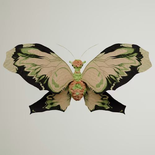 Chrysalism Insect
