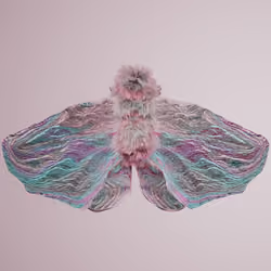 Lepidopteravivida capucereri