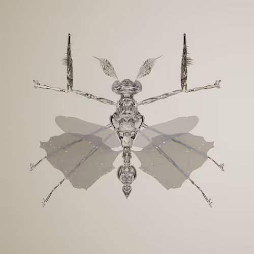 Chrysalism Insect