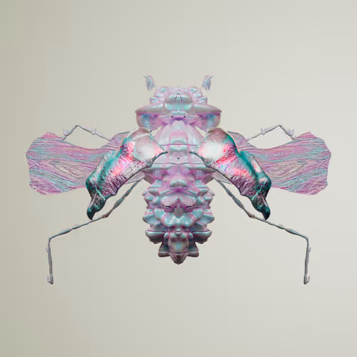 Coleopteravivida derban