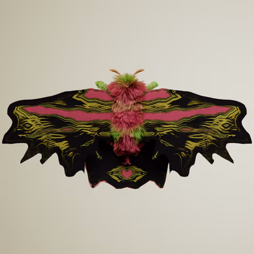 Chrysalism Insect
