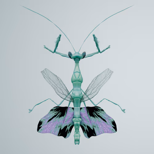 Mantodeaeirodon gularias