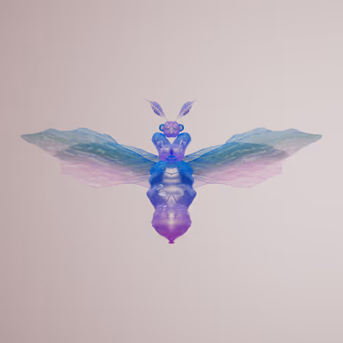 Chrysalism Insect