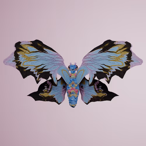 Chrysalism Insect