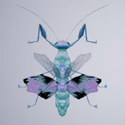 Mantodeaona darwicha